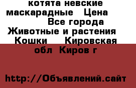 котята невские маскарадные › Цена ­ 18 000 - Все города Животные и растения » Кошки   . Кировская обл.,Киров г.